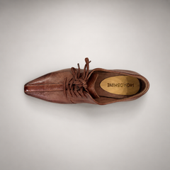 Brown Horse Leather Pointed-Toe Lace-Up Oxfords product view 7